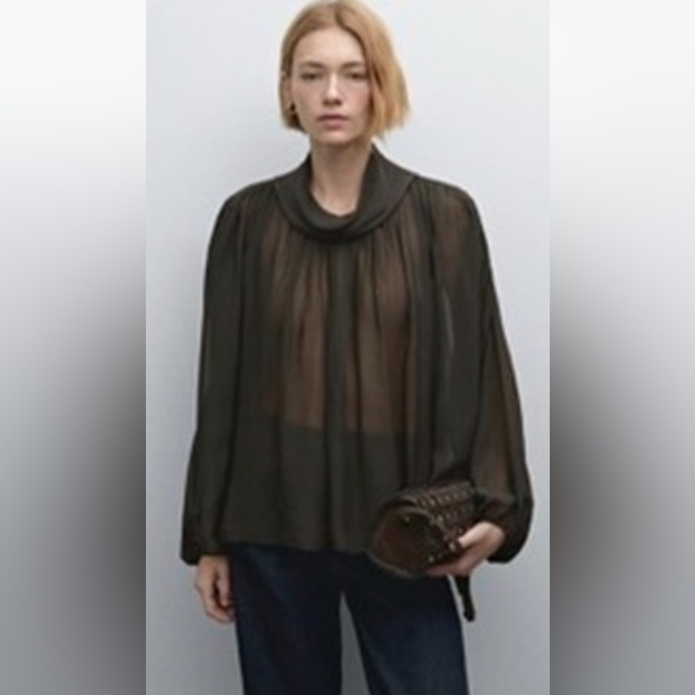 Massimo Dutti Sheer Long Sleeve Blouse